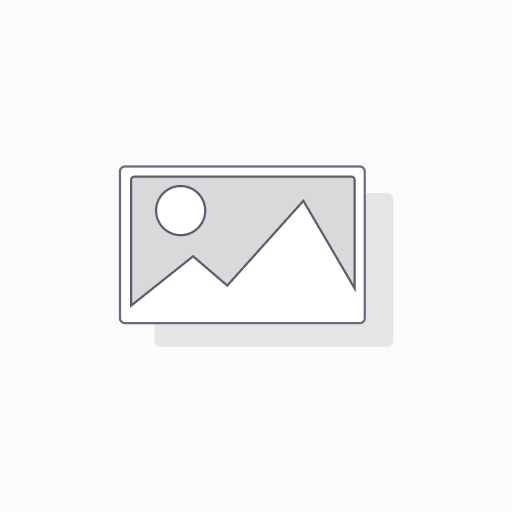 [V7112011] AnkerMake M5 Double-sided PEI spring steel plate